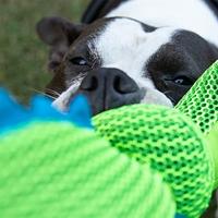 NOBBY 50366 mesh krokodil, 164 g - thumbnail