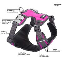 Hondentuigje Red Dingo Gestoffeerd Fuchsia Maat S - thumbnail