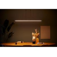 Steinhauer Hanglamp Humilus LED 1482zw zwart - thumbnail