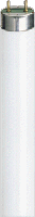 Philips TL buis 18W kleur 840 59cm super master - thumbnail