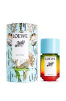 Loewe Paula's Ibiza Eau de Toilette 50ml - thumbnail