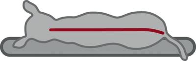 TRIXIE Liano bed voor honden, vierkant, 120 × 90 cm, grijs - 37983