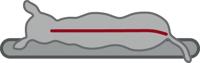 TRIXIE Liano bed voor honden, vierkant, 120 × 90 cm, grijs - 37983 - thumbnail