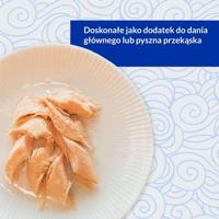 INABA Grilled Chicken Extra tender fillet in scallop flavored broth - Kattensnoepje - 25 g - thumbnail
