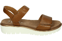 Ara 1233518 - alle - thumbnail