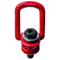 Delta Wartel oogbout | grade 80 volgens EN 1677 | 1,500 ton | M16x100 mm - YE.8.033.16-100 YE.8.033.16-100 - thumbnail