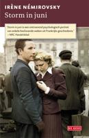 Storm in juni - Irène Némirovsky - ebook - thumbnail