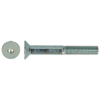 pgb-Europe PGB-FASTENERS | BZK-schroef VK 10.9 GD D. 7991 M 6x40 Zn | 200 st - 7991101006000400 - thumbnail