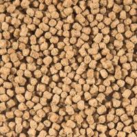 Sanikoi Winter Wheat Germ 3 mm - 1800 gram - thumbnail