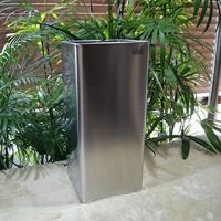 Zack Angolo Paraplubak - thumbnail