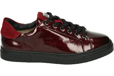 Hassia 301025 - alle Hassia 301025 - alle