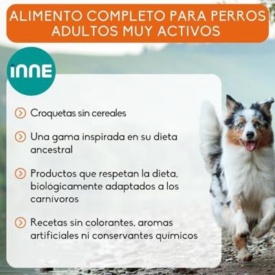 Nutrivet Inne Dog Energetic hondenvoer 2 x 12 kg