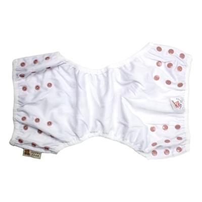 HappyBear Zwemluier Roar