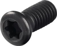 Promat/Tecwerk Spanschroef | WS0512 maat T20 - 6480151279 - thumbnail