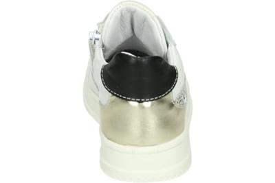 Develab 42890 - alle