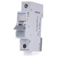 Hager MCN102 Zekeringautomaat 1-polig 2 A 400 V - thumbnail