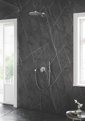 Grohe Silverflex Professional Doucheslang 125 cm Supersteel