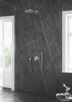 Grohe Silverflex Professional Doucheslang 125 cm Supersteel - thumbnail