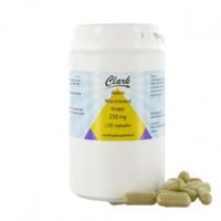 Alsem/wormwood 150 Vegetarische capsules - thumbnail