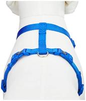 Hondentuigje Trixie New Premium Kobaltblauw M/L - thumbnail