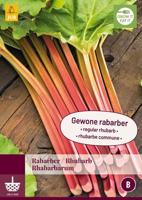 Rabarber Rhubarb rhabarbarum - thumbnail