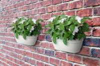 Elho Vibia Campana wall basket wandbak 35 cm zijdewit - thumbnail