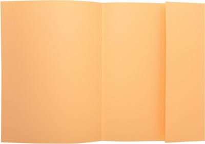 Exacompta dossiermap Super 210, pak van 50 stuks, gems