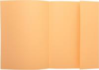 Exacompta dossiermap Super 210, pak van 50 stuks, gems - thumbnail