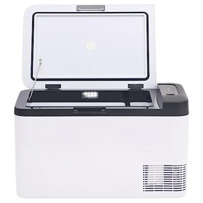 VidaXL Koelbox met handvat 25 l pp & pe zwart en wit