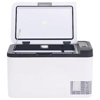 VidaXL Koelbox met handvat 25 l pp & pe zwart en wit - thumbnail