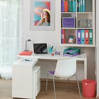 Esselte Colour&apos;Breeze ringmap, 2 ringen, PP, ft A4, met harde kaft, groen - thumbnail