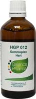 HGP012 Gemmoplex hart - thumbnail