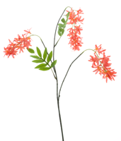 Spring flower spray red 103cm - thumbnail