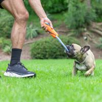 Chuckit! Ultra bumper tug - thumbnail