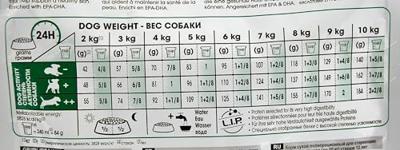 Royal Canin canin mini ageing +12