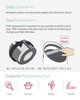 Leitz Actieve koolfilter Zwart - thumbnail