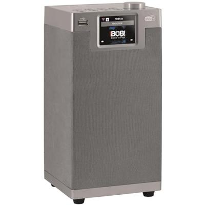 Imperial DABMAN i610 Zilver