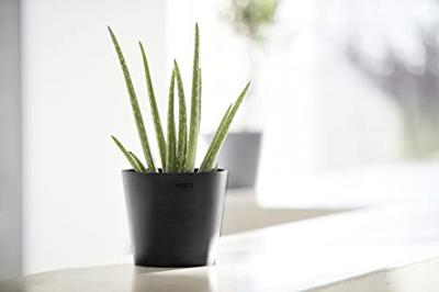 Ecopots Bloempot Amsterdam Mini Ø17cm - Donkergrijs