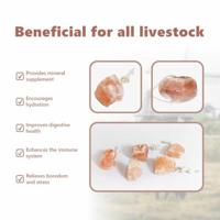 VidaXL Zoutlik stenen roze steenzout - thumbnail