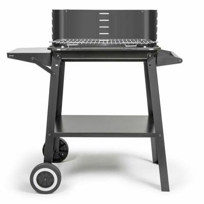 Barbecue Draagbare Livoo Roestvrij staal