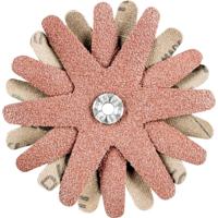 PFERD TOOLS 42732123 Schuurster Diameter 80 mm 10 stuk(s) - thumbnail