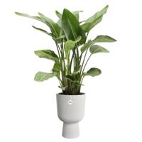 Bloempot - Elho - Vibes Fold Coupe - Wit - L 30 x B 29,5 x H 45 cm - Binnen - 100% gerecycled - thumbnail