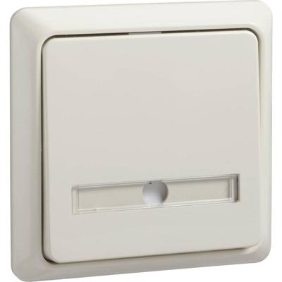 ELSO-toets 506320 42V/1A AP vlak RENOVATIE pw 1 stuk(s)