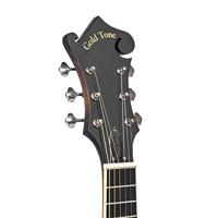 Gold Tone F-6 elektrische mando-guitar, met koffer - thumbnail
