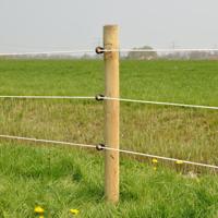 Gallagher XDI schroef-ringisolator hout (250) - 060788 - 060788 - thumbnail