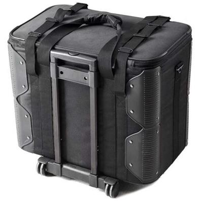 Godox CB 10 Carrying Bag