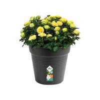 Elho green basics kweekpot 40 cm living black - thumbnail