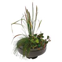 Floating Plant Basket diameter 30 Cm vijver SuperFish - Superfish - thumbnail
