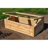 Strawberry Queen kweekkas - thumbnail