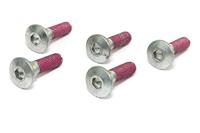TRW bouten set screw set 5pcs. m8x1,25 - thumbnail